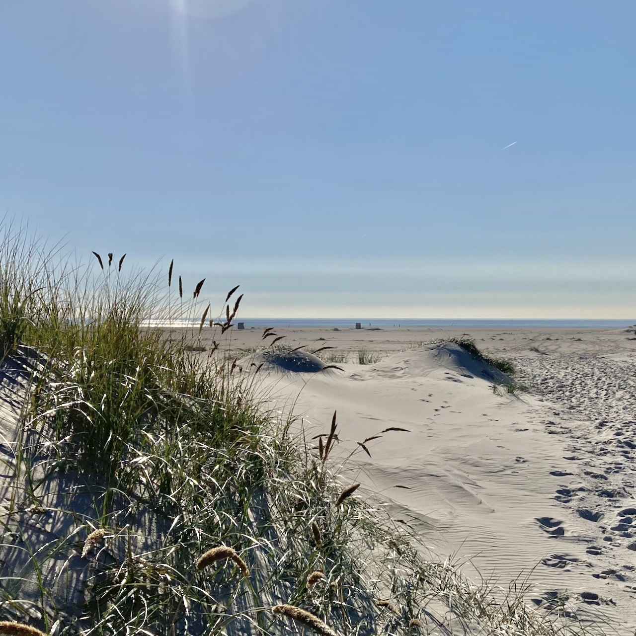 Links im Vordergrund eine kleine Düne, mit Dünengras bewachsen, rechts ein Pfad durch den weißen Sand Richtung Meer. Darüber blauer Himmel.